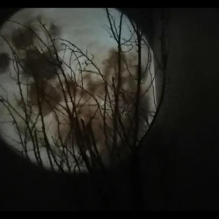 Loft La Maison Du Bambou Appartement Sequedin