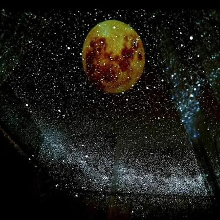 Appartement Loft La Maison Du Bambou