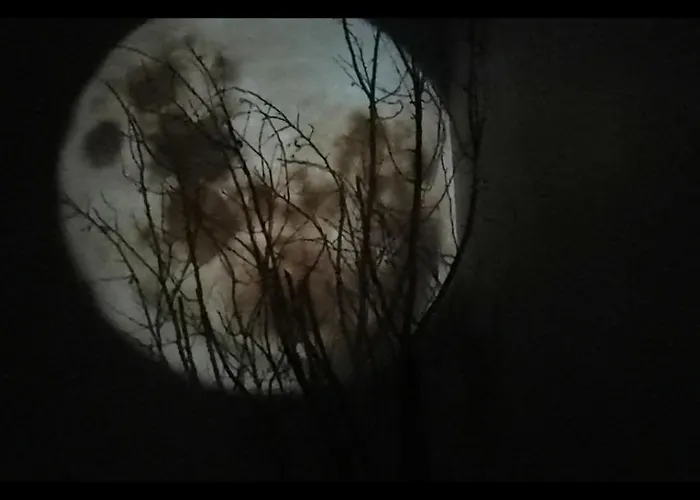 Loft La Maison Du Bambou Apartment Sequedin