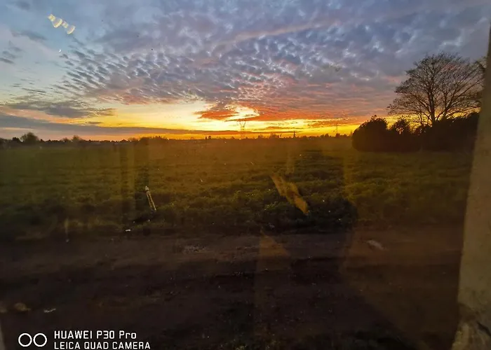 Loft La Maison Du Bambou Apartment Sequedin