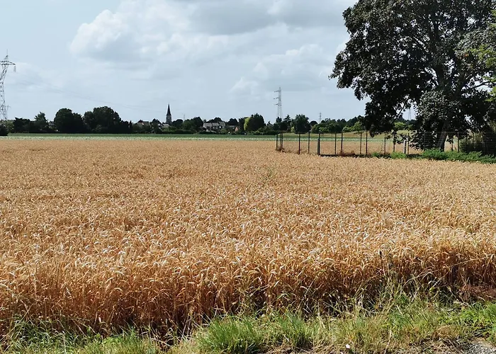Loft La Maison Du Bambou Apartment *